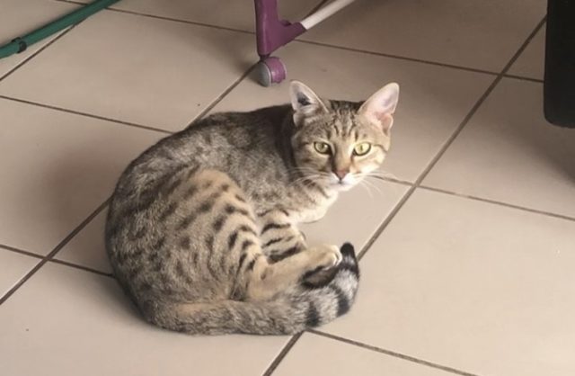 Rio