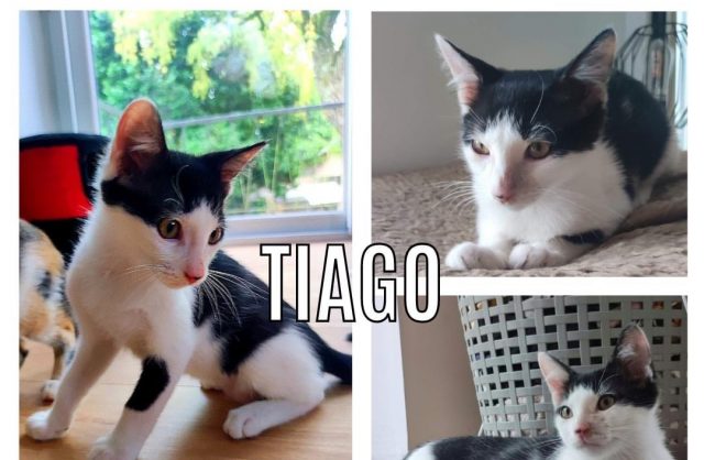 Tiago