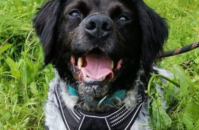 Jack
